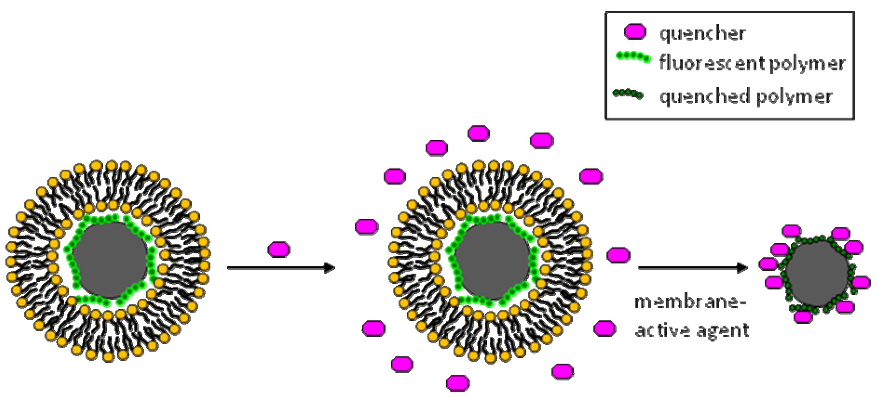 Molecules 15 01932 g007