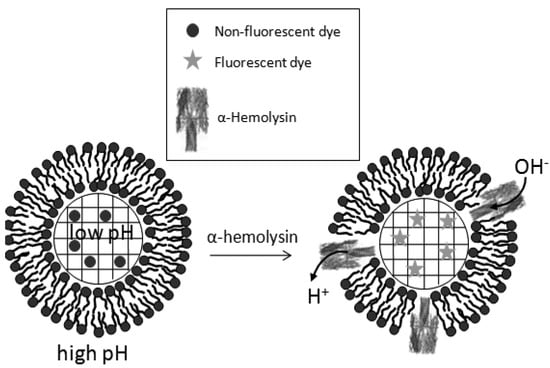 Molecules 15 01932 g008 550