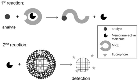 Molecules 15 01932 g009 550