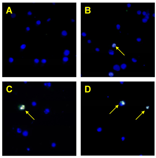 Molecules 15 02000 g006 550