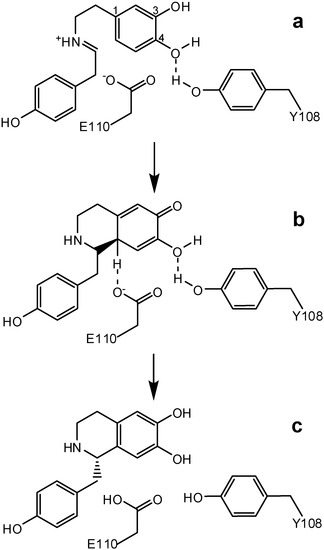 Molecules 15 02070 g004 550