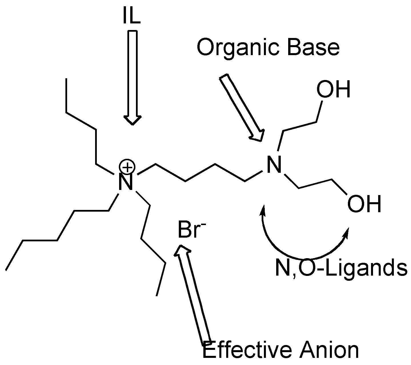 Molecules 15 02211 g011