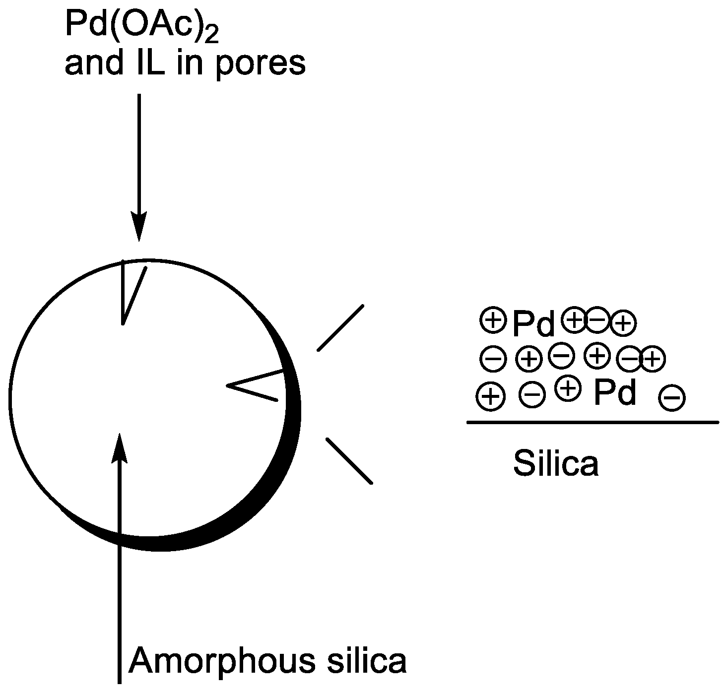 Molecules 15 02211 g016