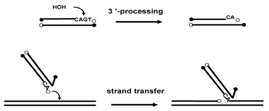 Molecules 15 03048 g001 550