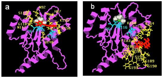 Molecules 15 03048 g005 550
