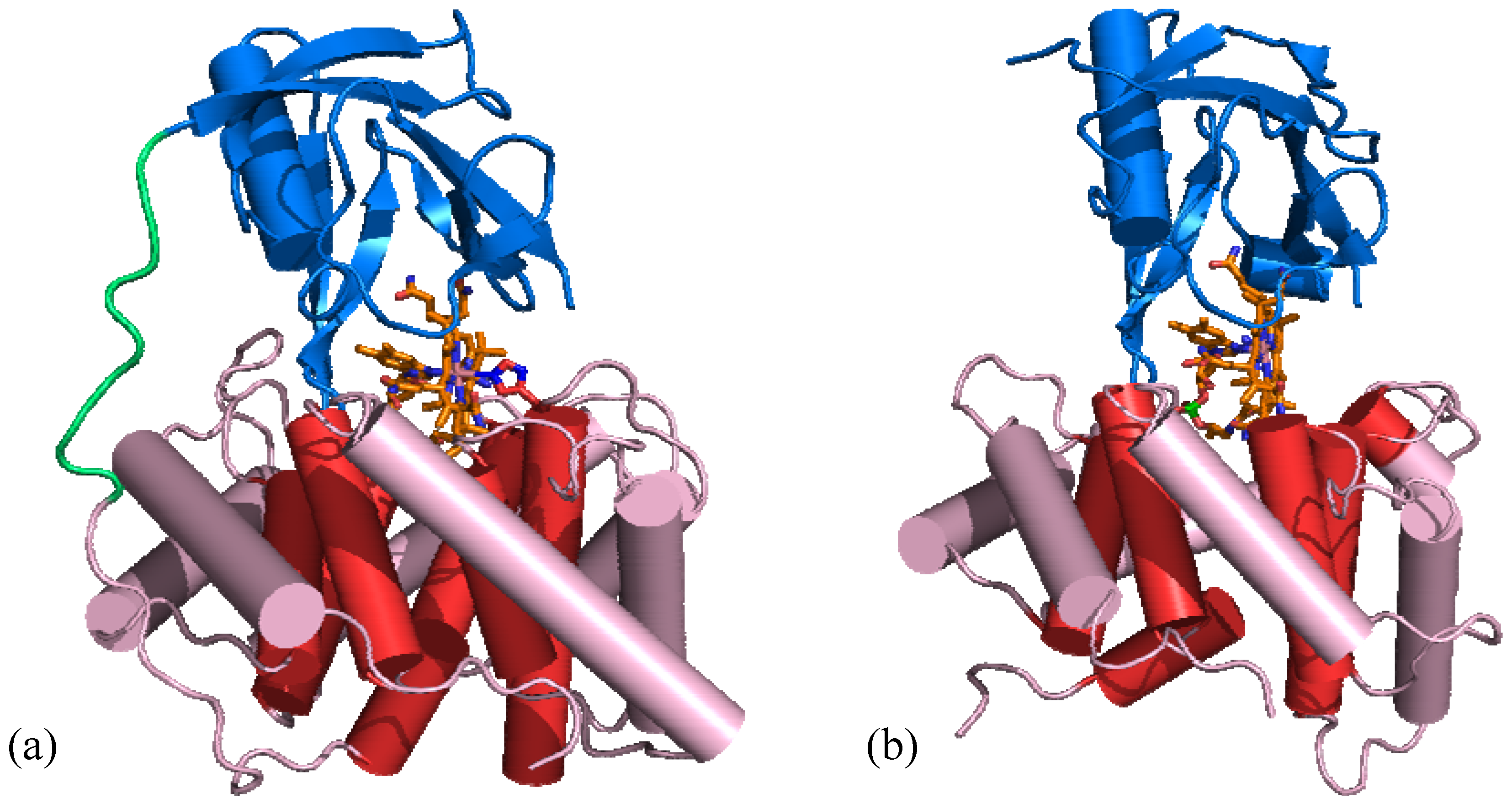 Molecules 15 03228 g004