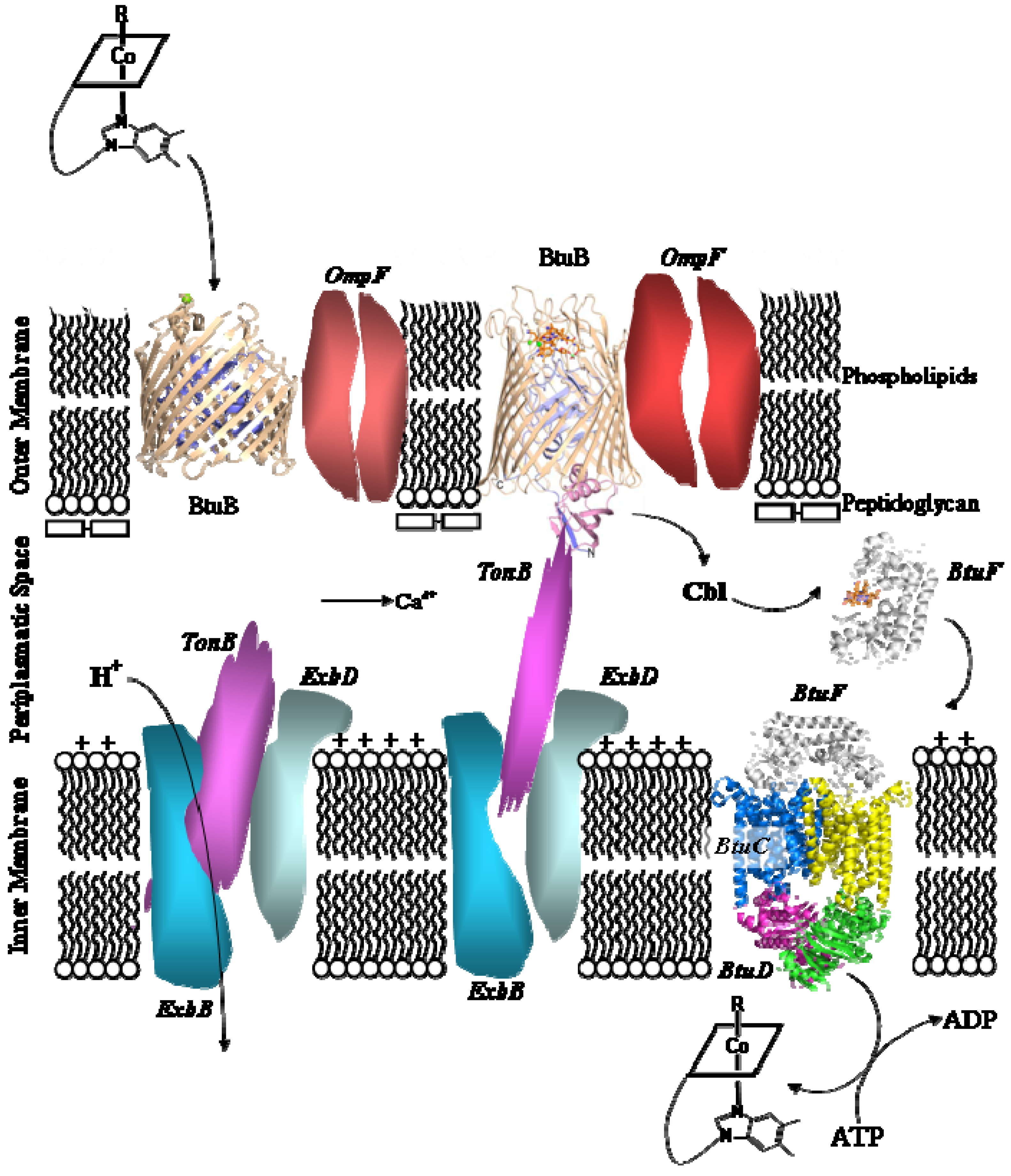 Molecules 15 03228 g005