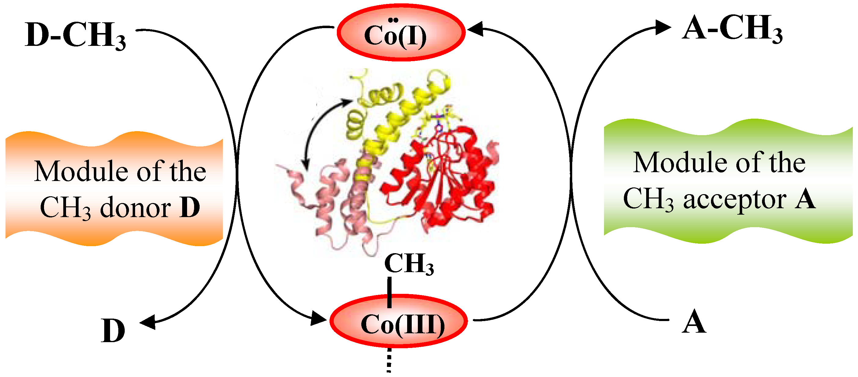 Molecules 15 03228 g006
