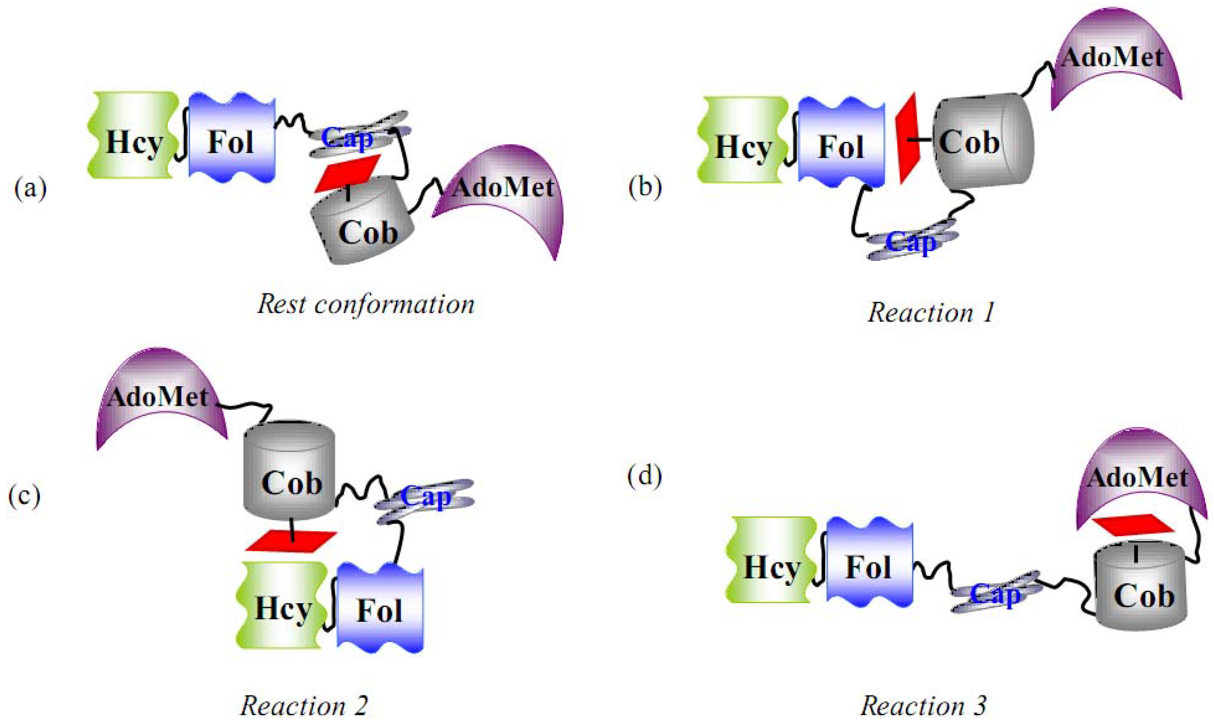 Molecules 15 03228 g008