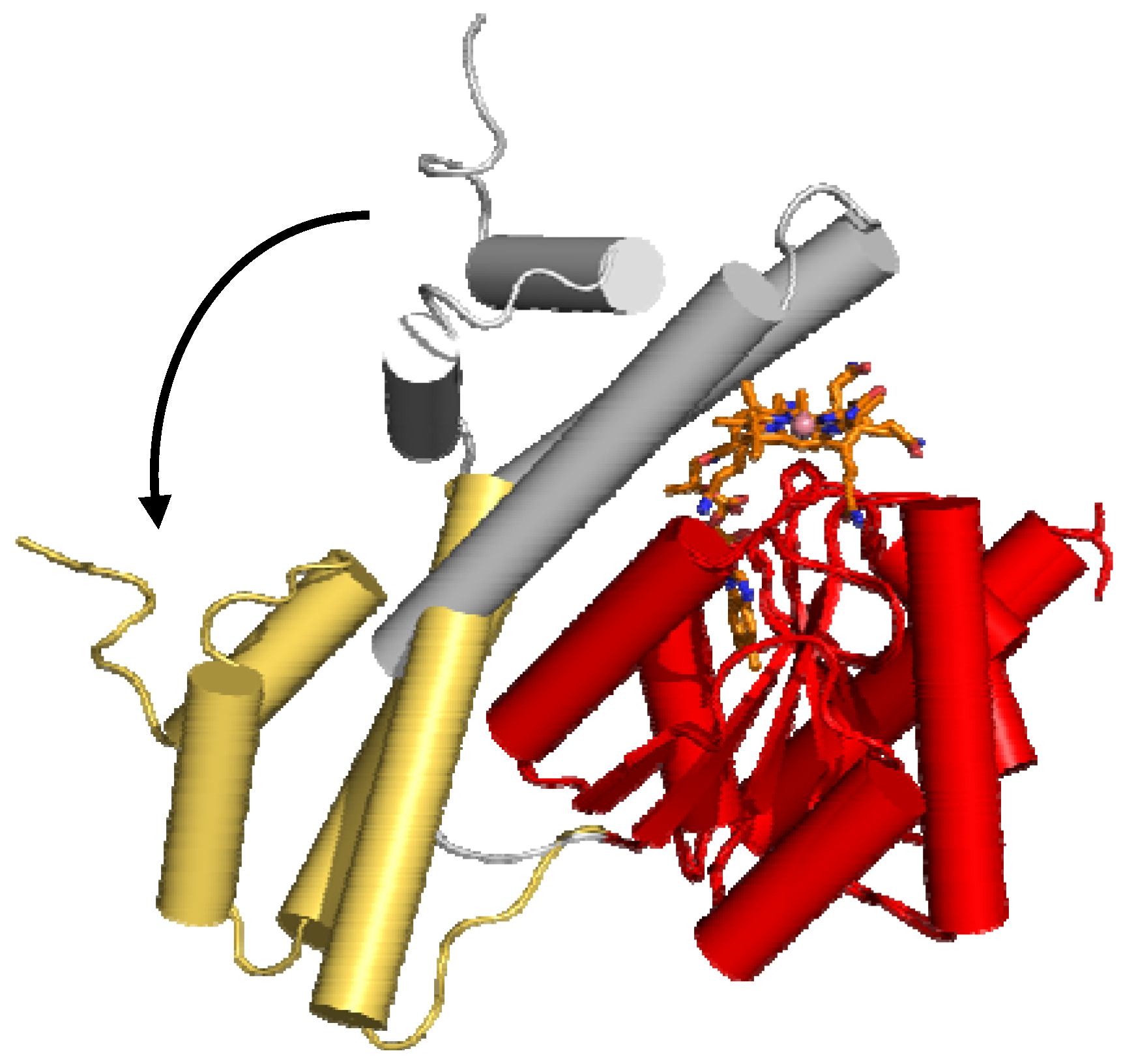 Molecules 15 03228 g010