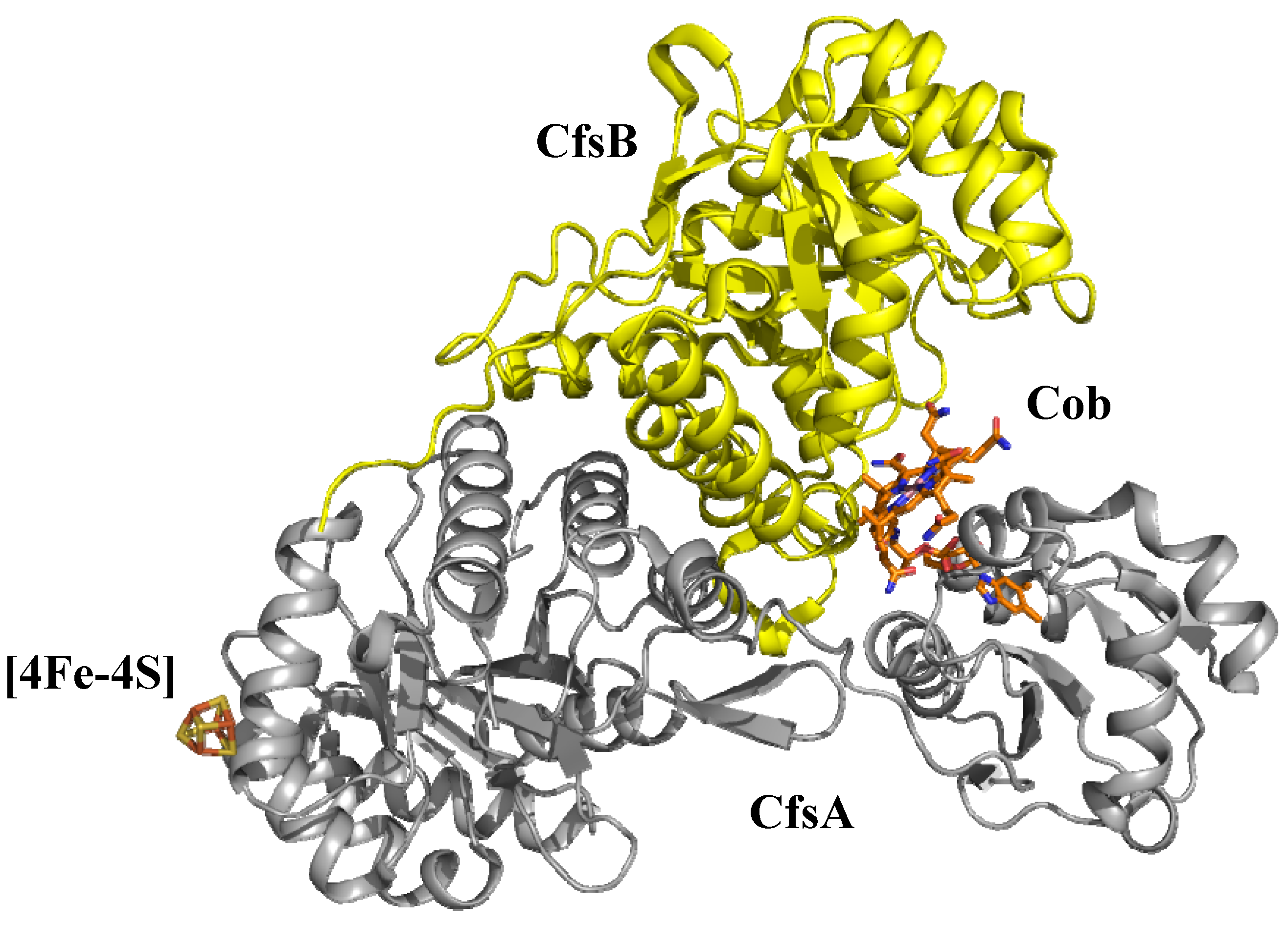 Molecules 15 03228 g011