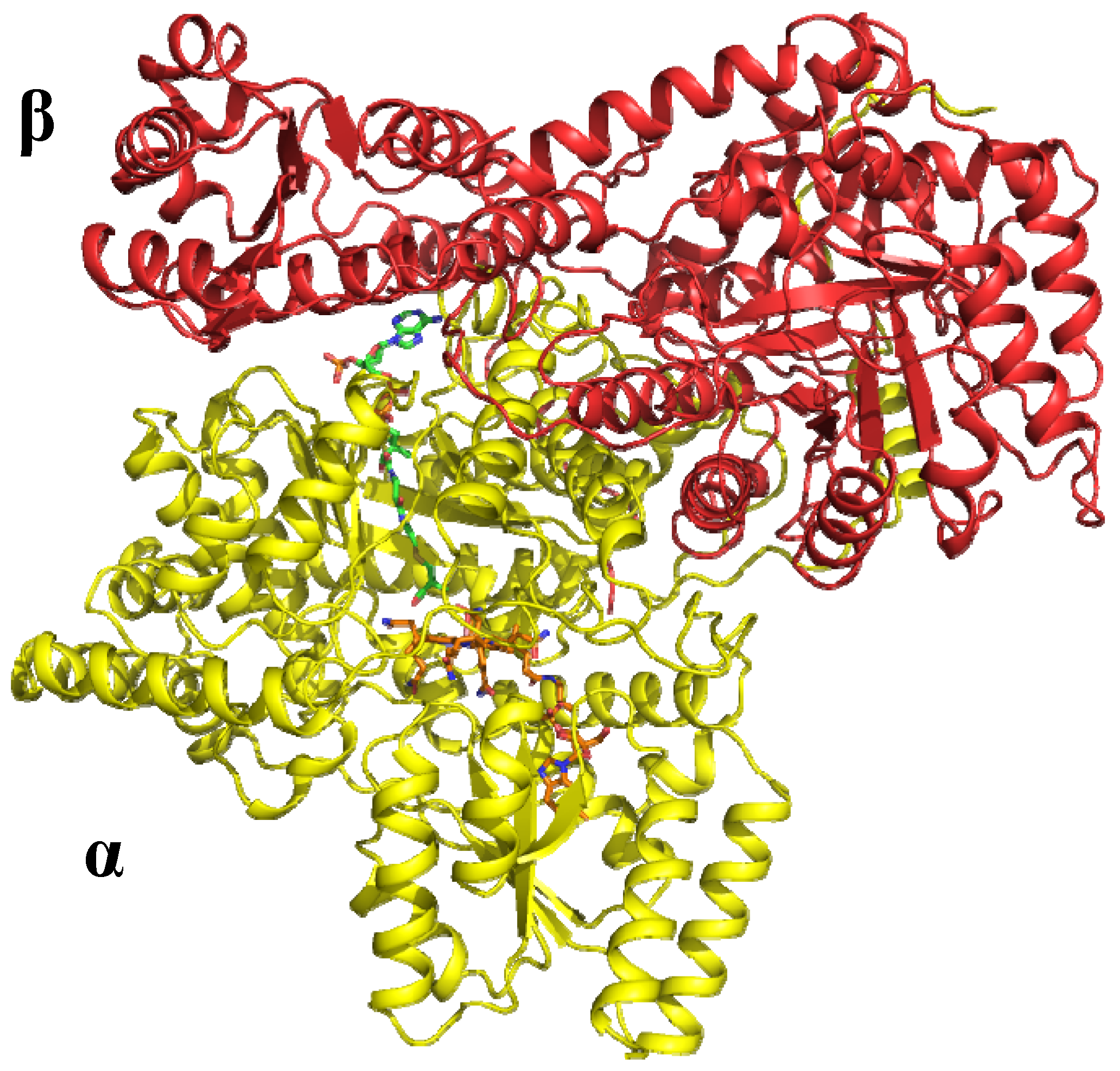 Molecules 15 03228 g012