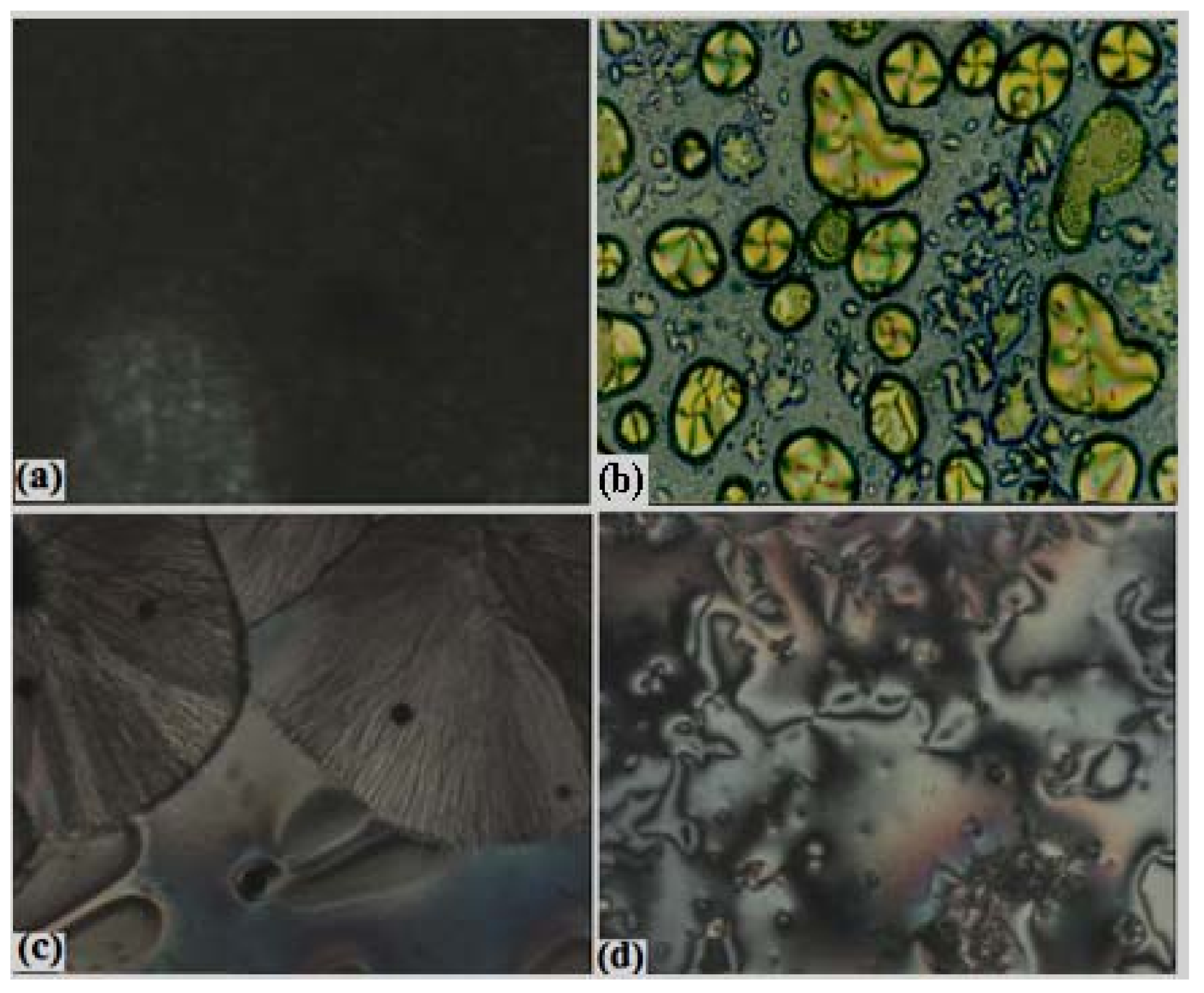 Molecules 15 03260 g005