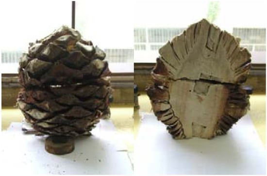 Molecules 15 03295 g001 550