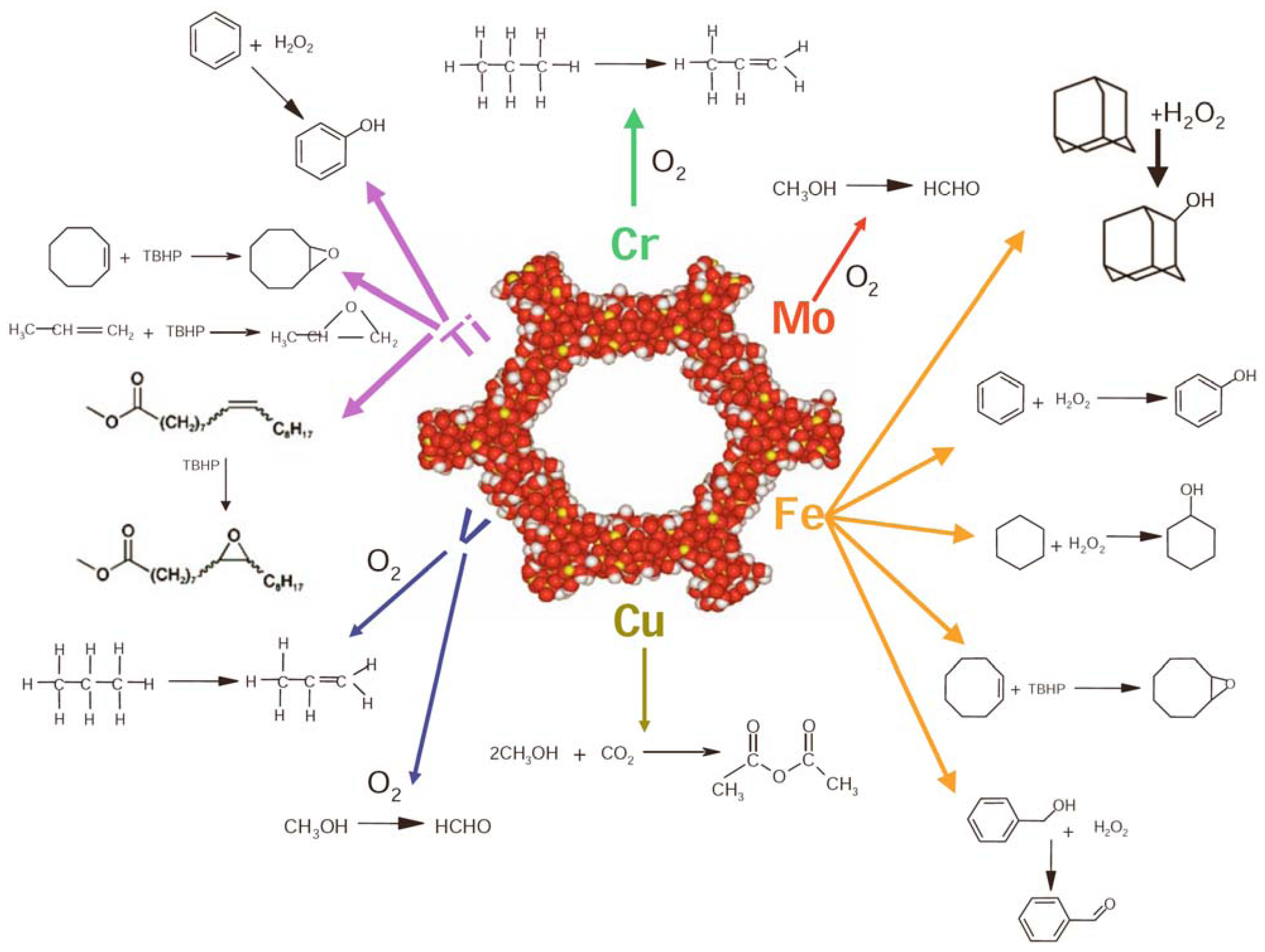 Molecules 15 03829 g008