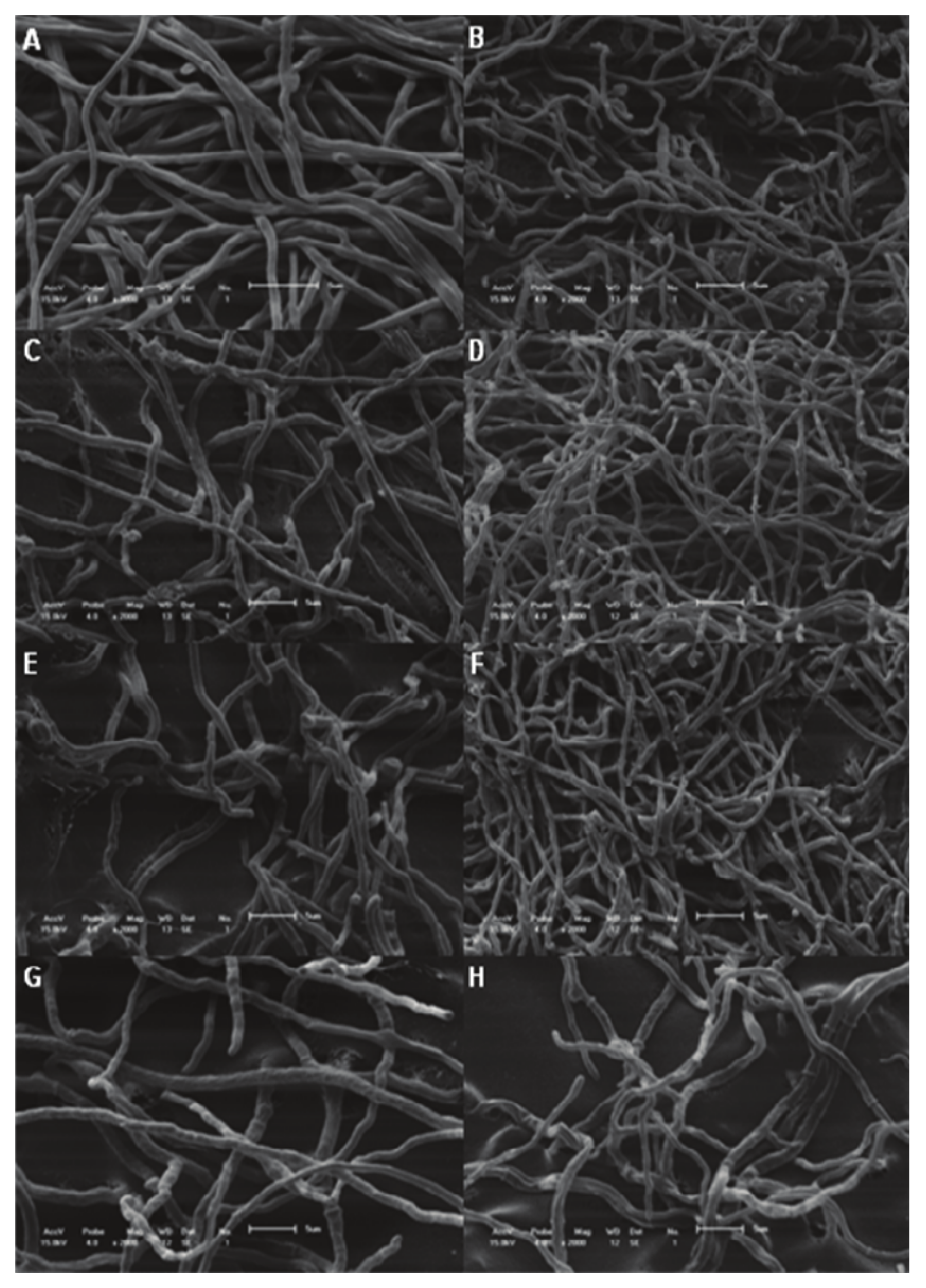 Molecules 15 03920 g004