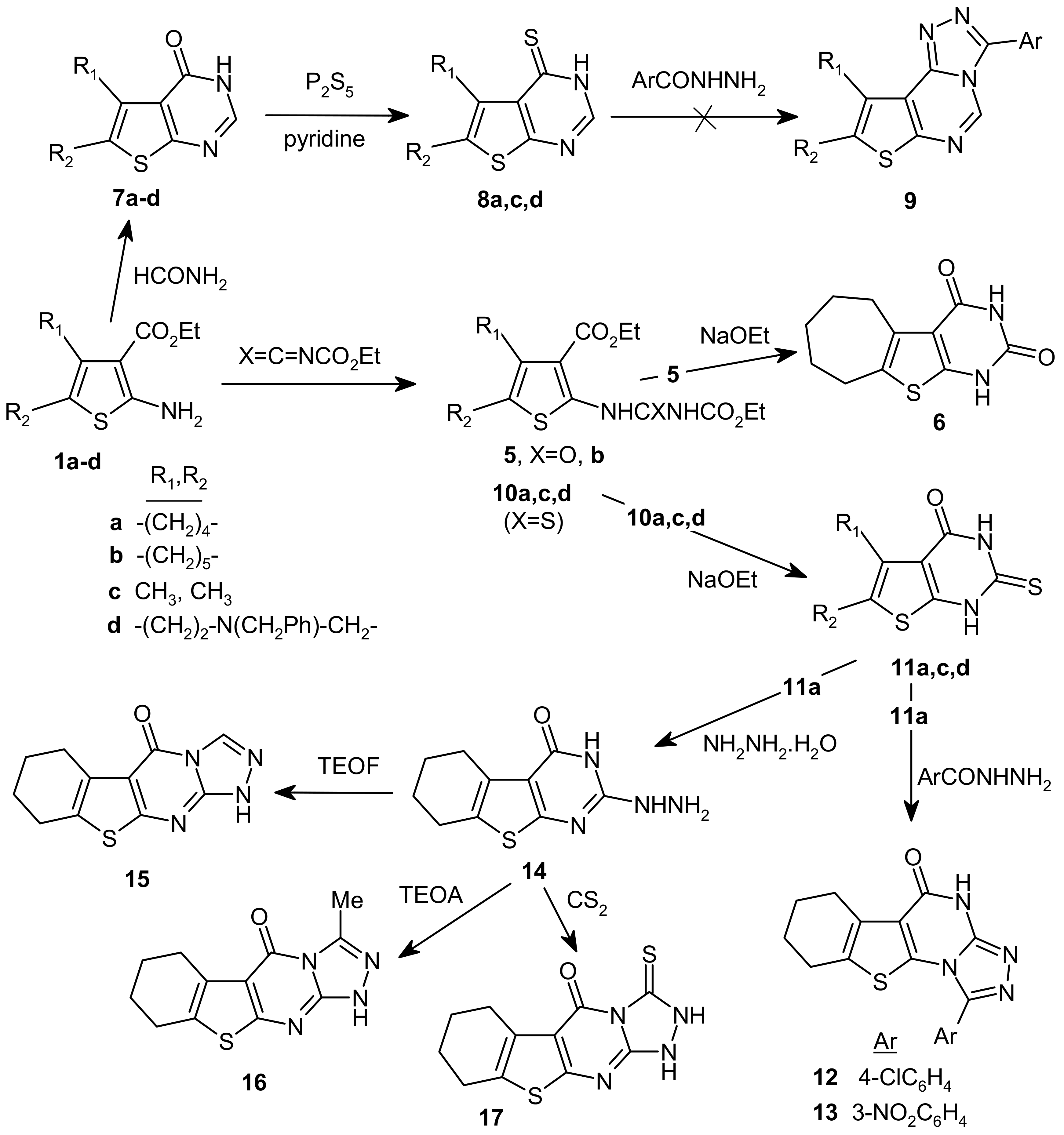 Molecules 15 03932 sch002
