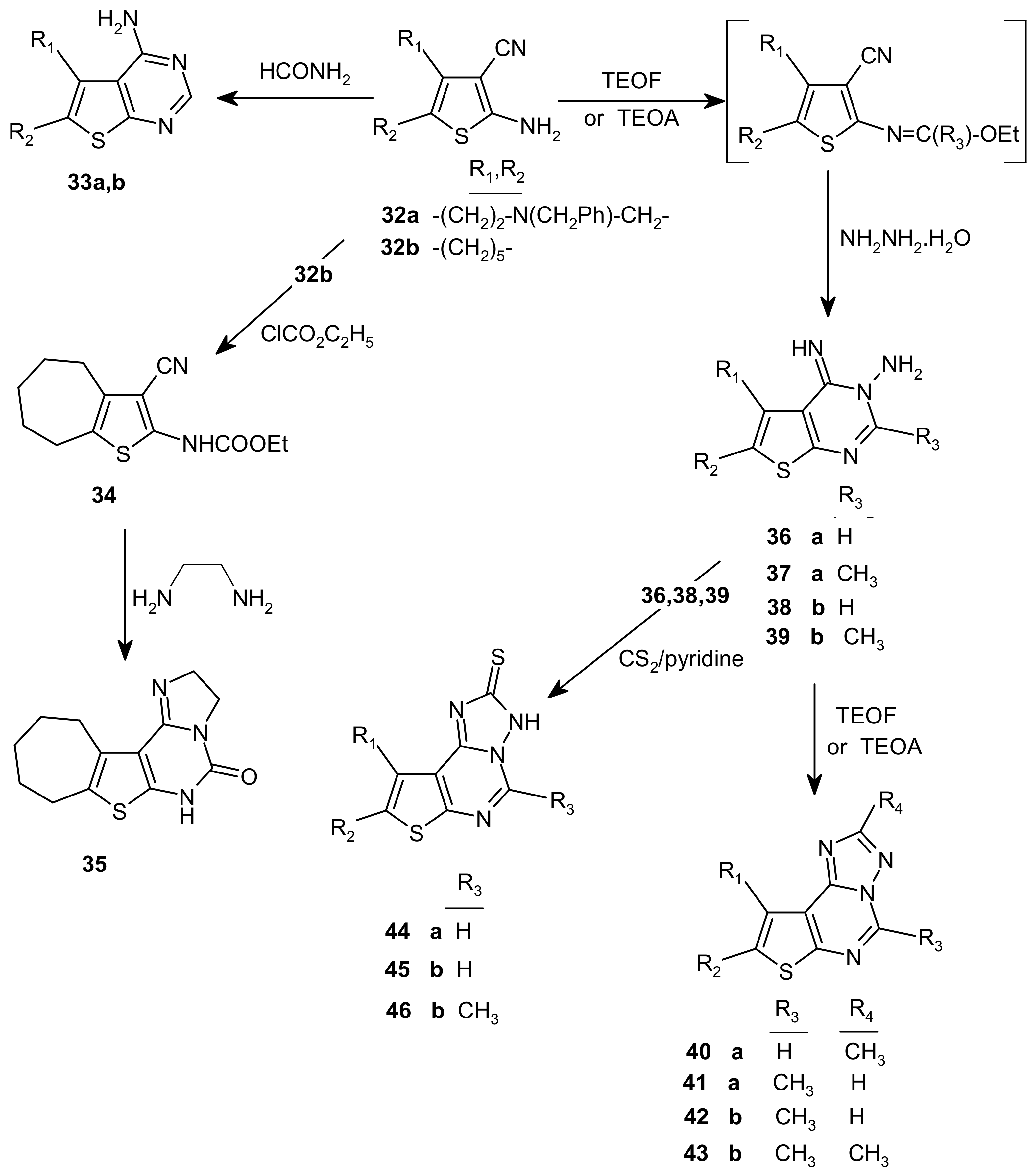 Molecules 15 03932 sch004