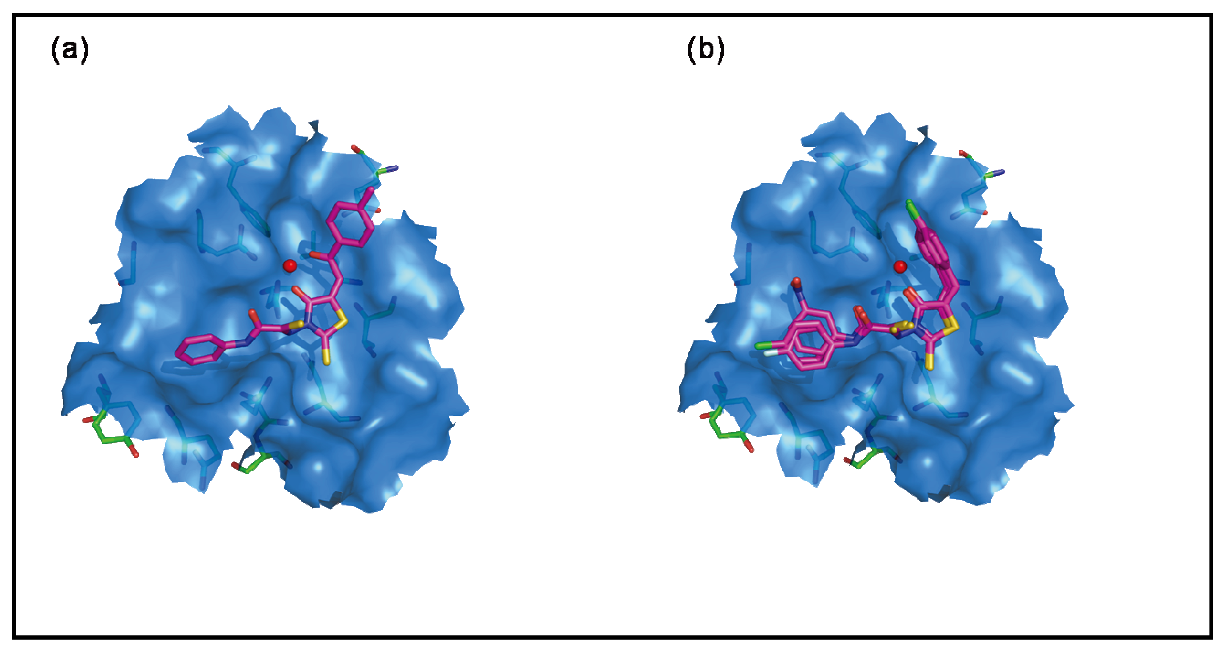 Molecules 15 03958 g005