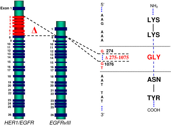 Molecules 15 04670 g001 550