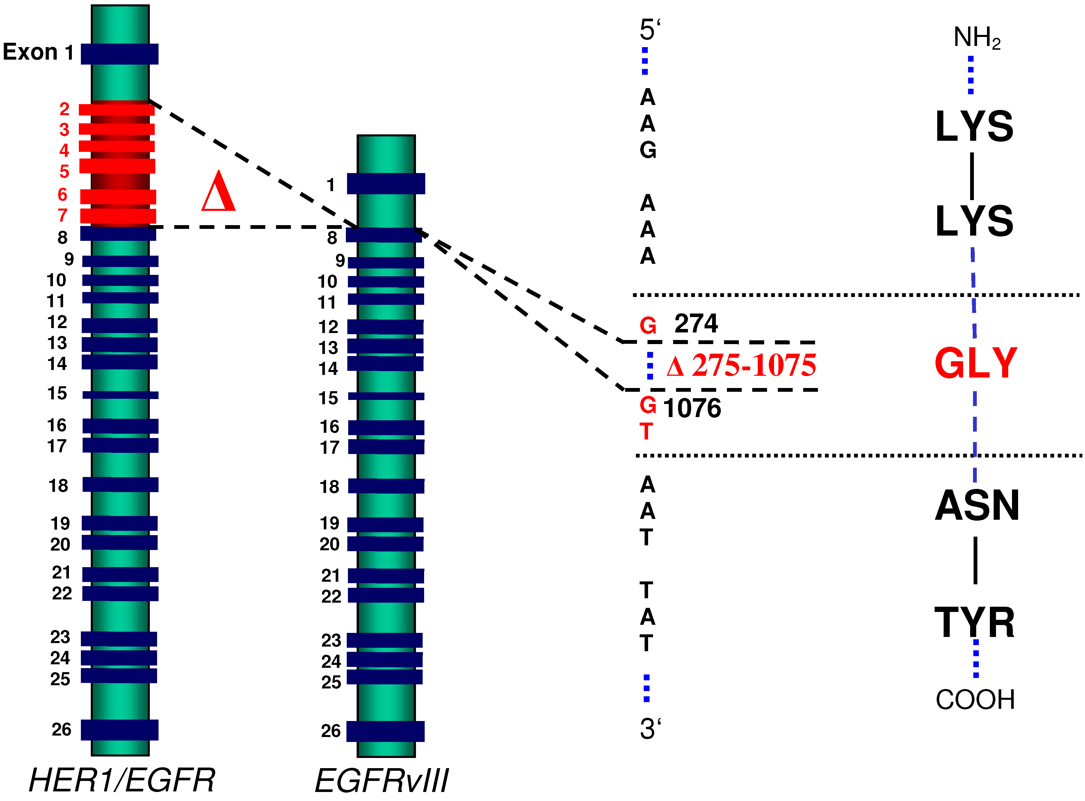 Molecules 15 04670 g001