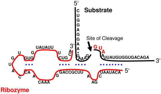 Molecules 15 04670 g003 550