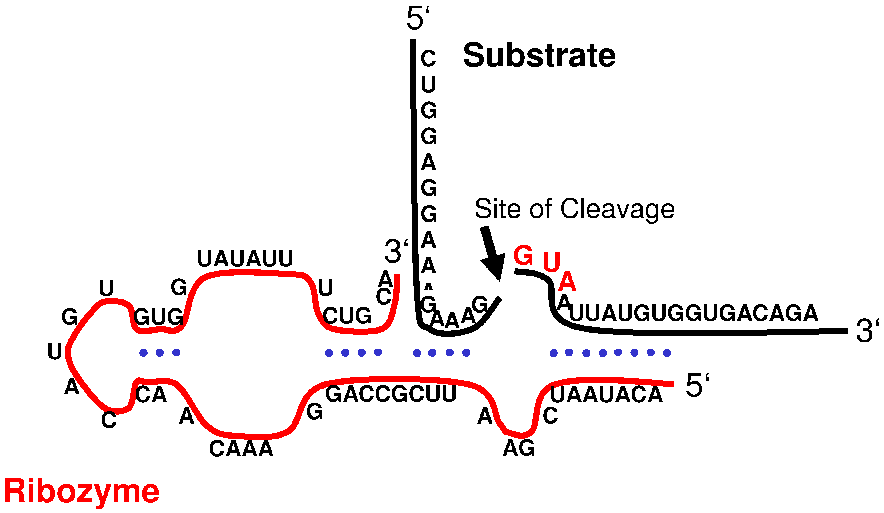 Molecules 15 04670 g003