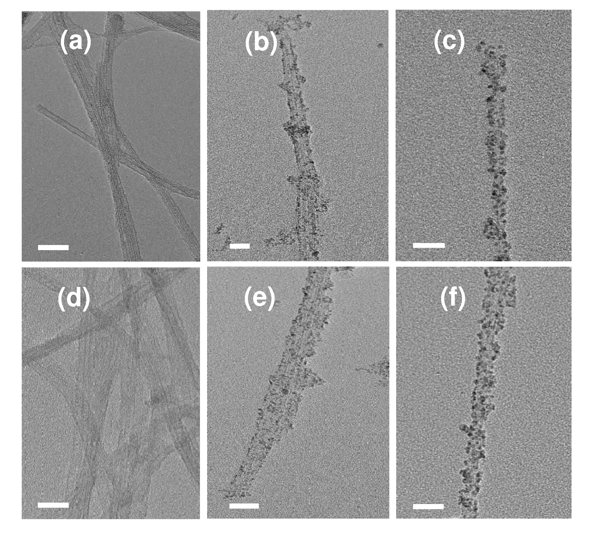 Molecules 15 04679 g008
