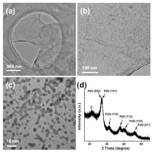 Molecules 15 04679 g009 550