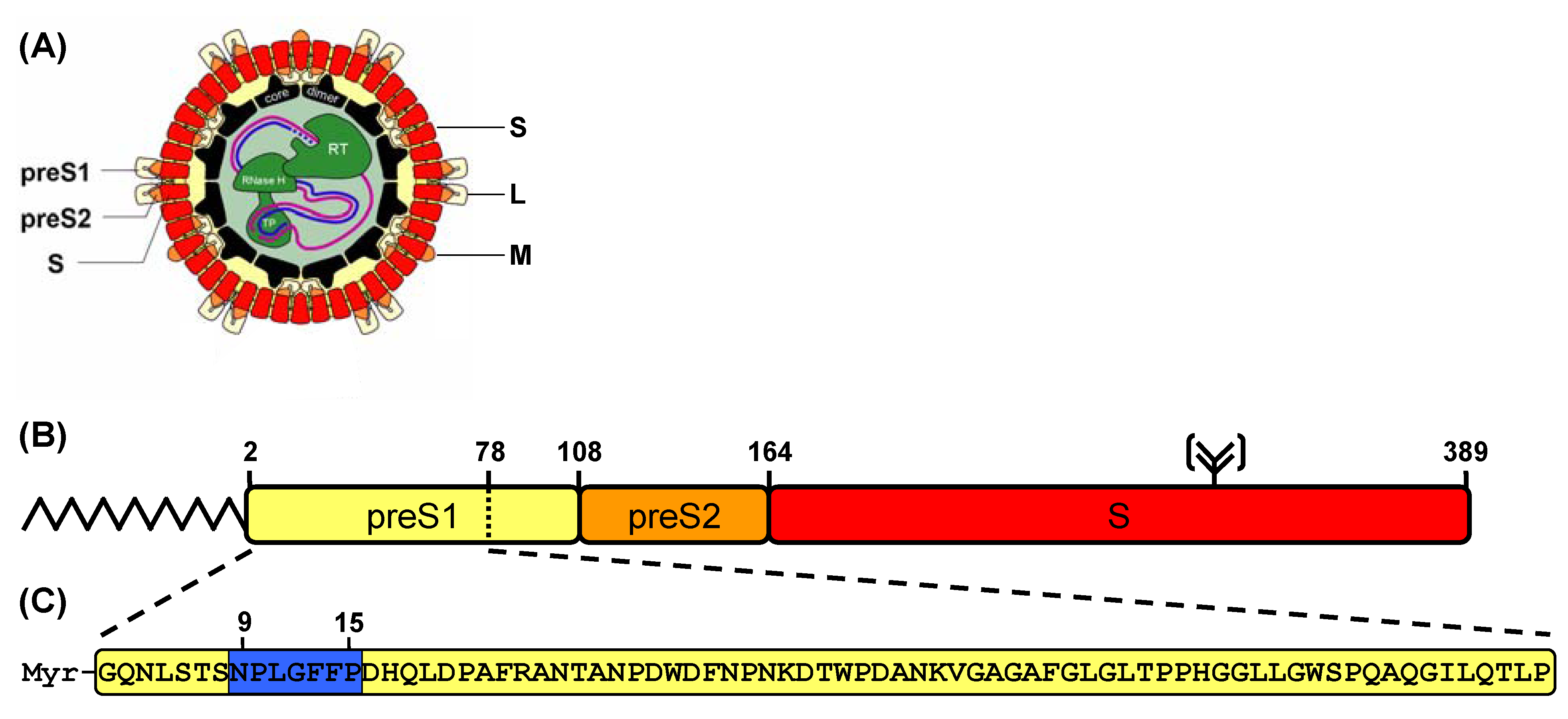 Molecules 15 04773 g001