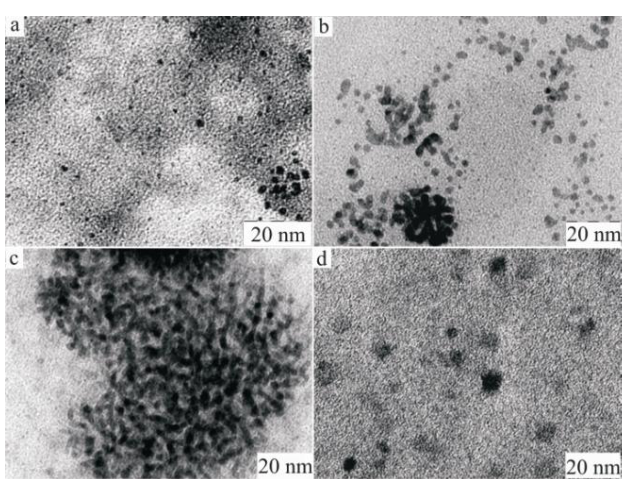 Molecules 15 04792 g008