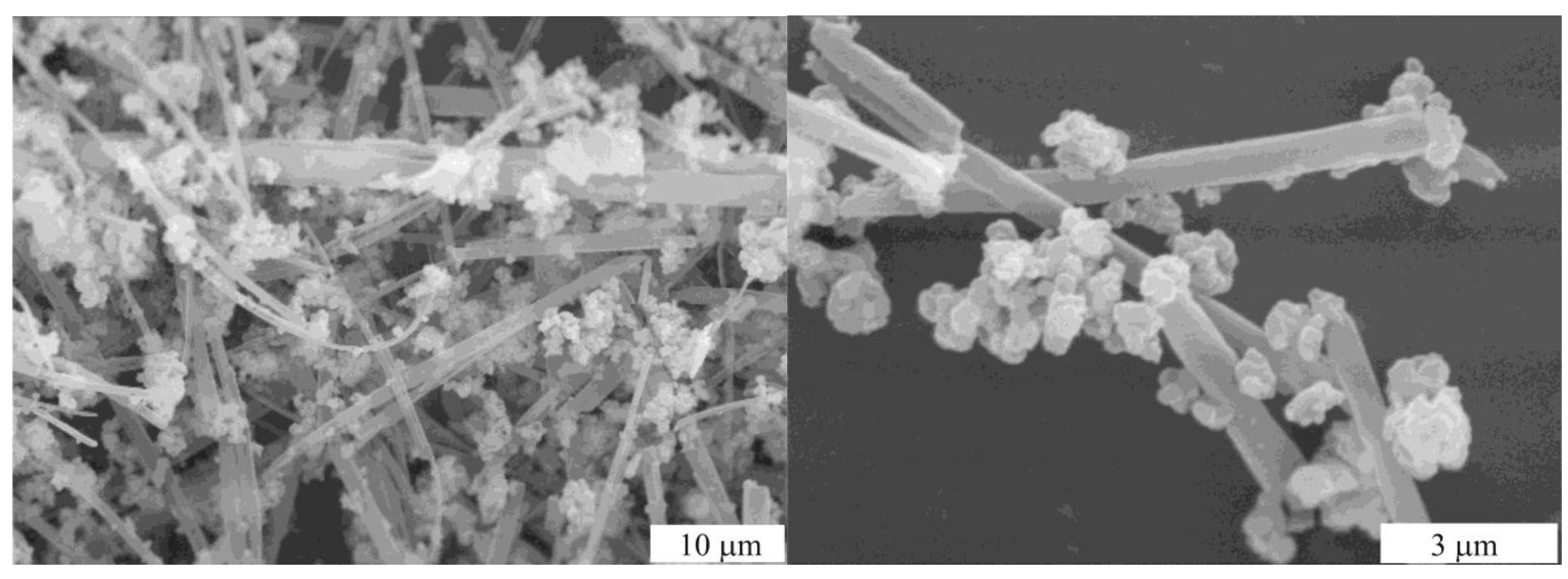 Molecules 15 04792 g024