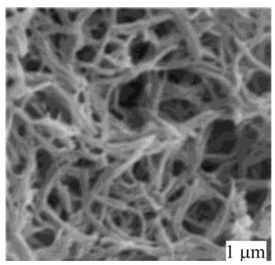 Molecules 15 04792 g026 550