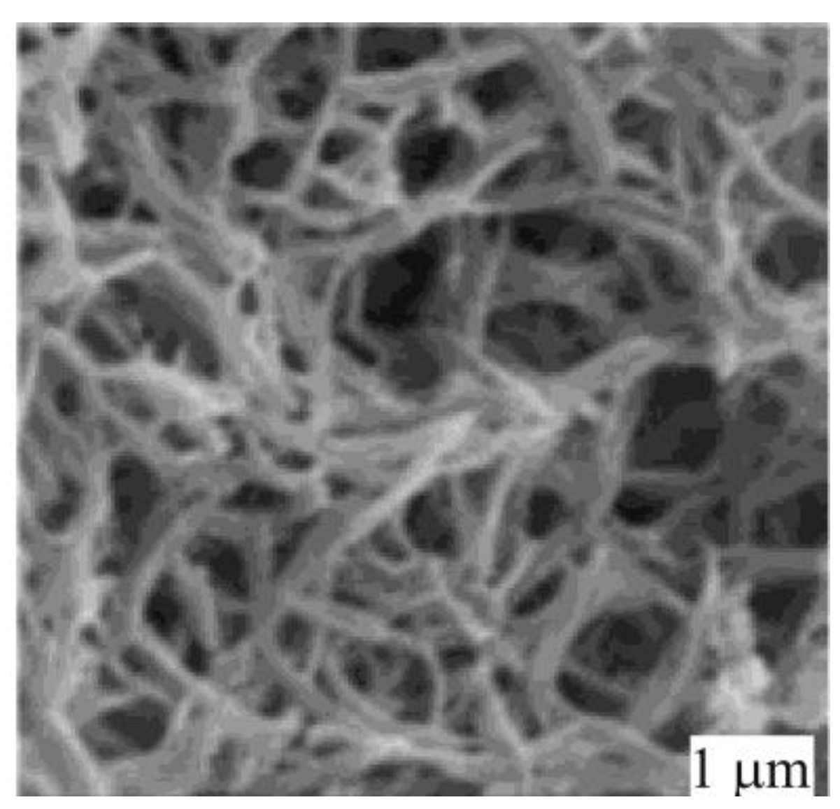 Molecules 15 04792 g026