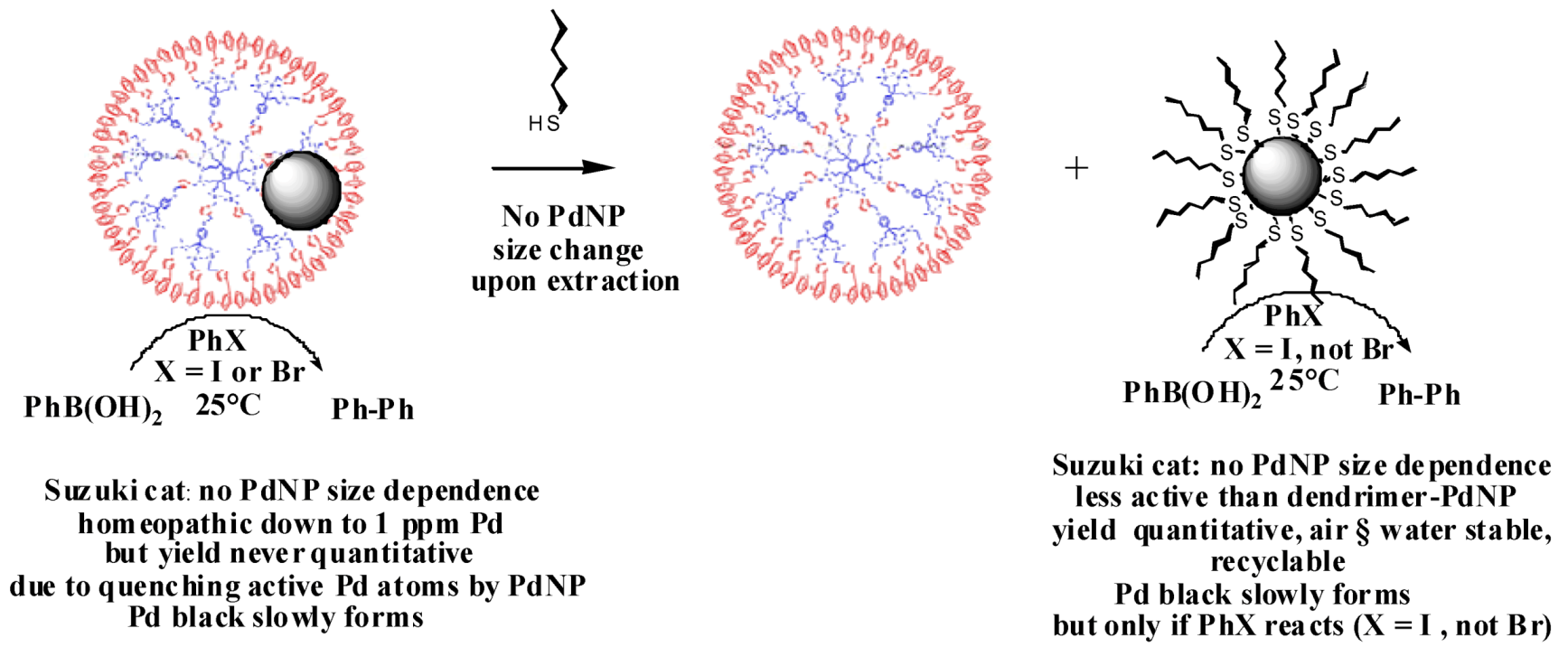 Molecules 15 04947 g005