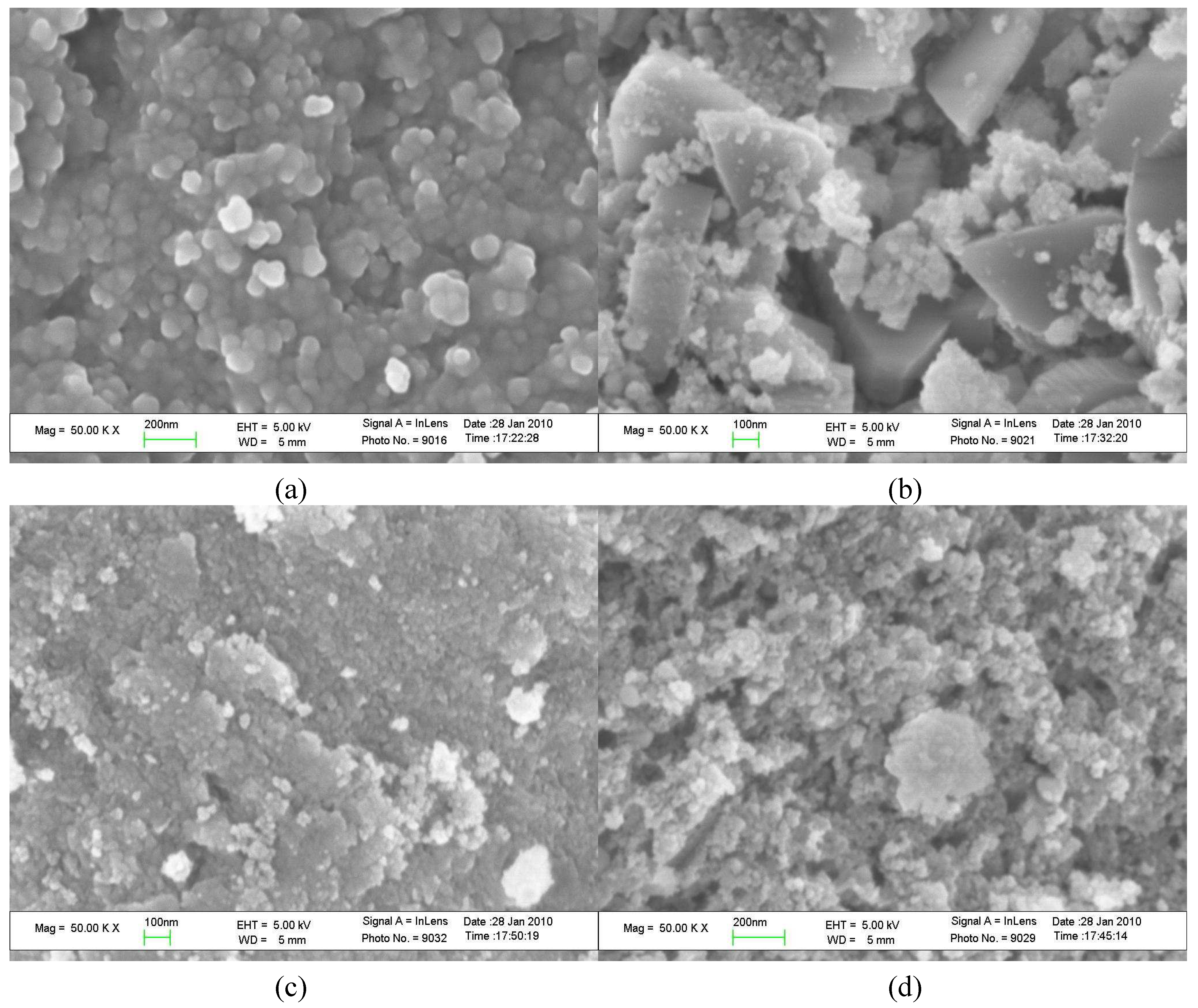 Molecules 15 05139 g004