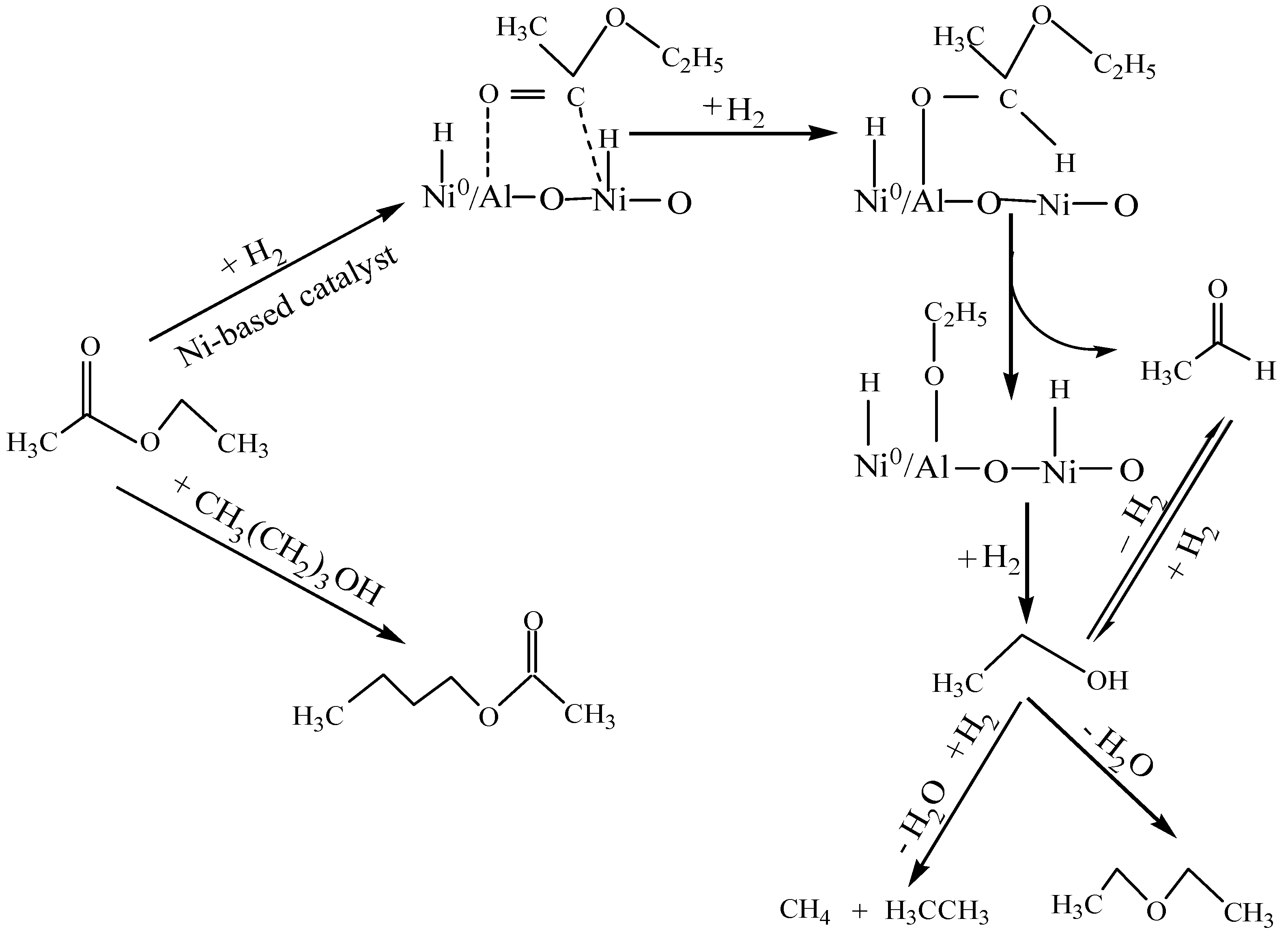 Molecules 15 05139 g006