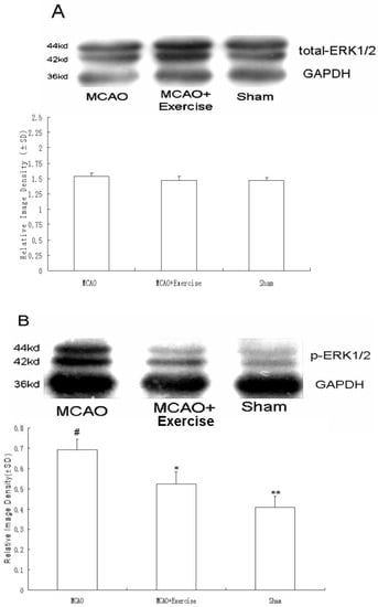 Molecules 15 05246 g004 550