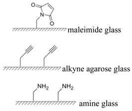 Molecules 15 05282 i020
