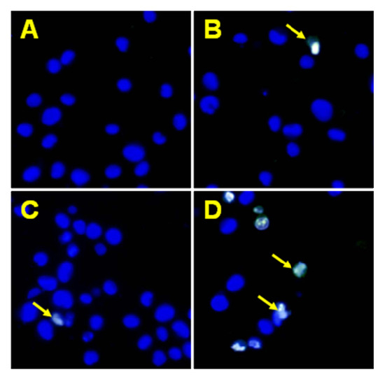 Molecules 15 05336 g008 550