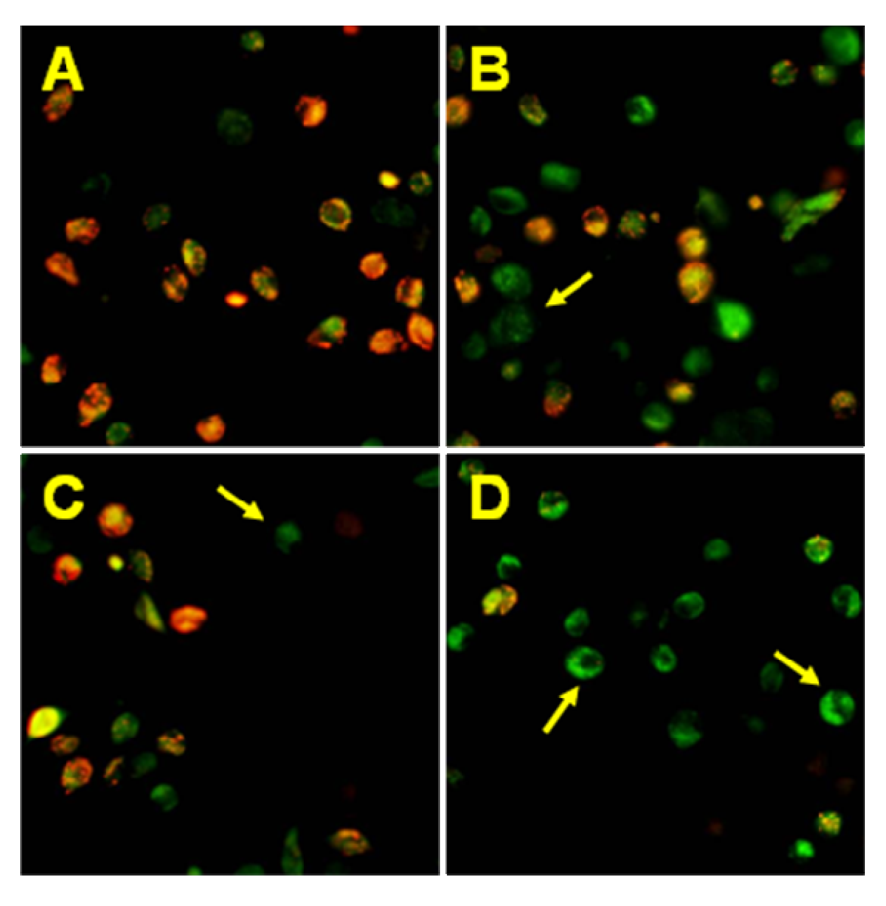 Molecules 15 05336 g009