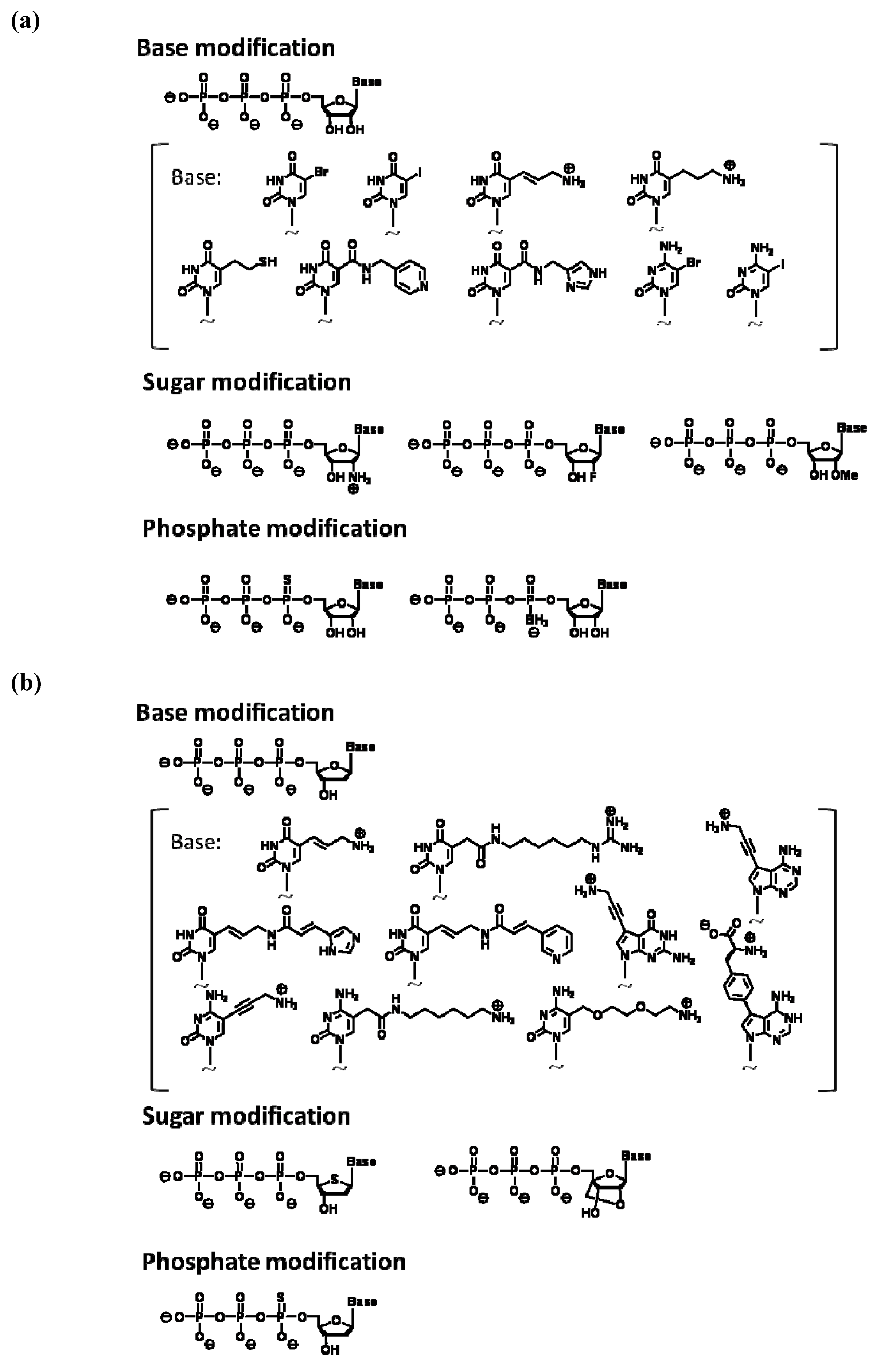 Molecules 15 05423 g002