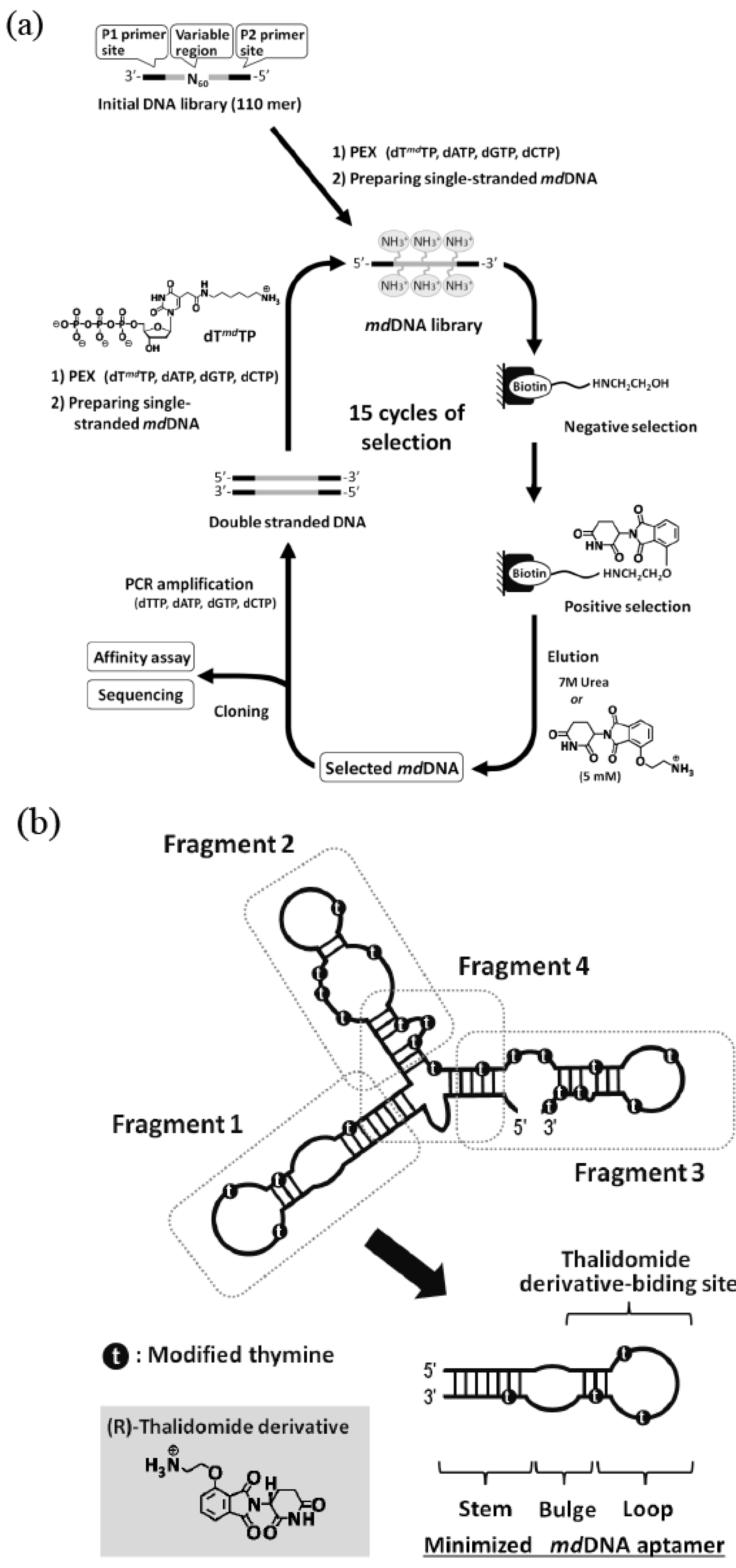 Molecules 15 05423 g004