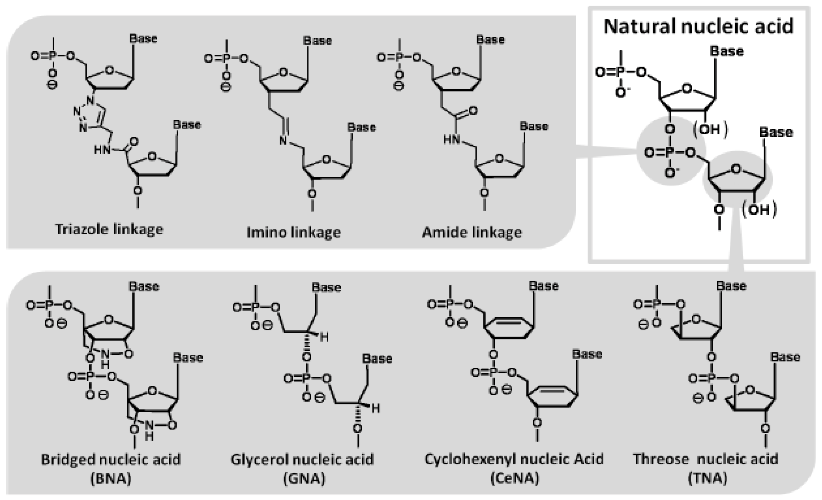Molecules 15 05423 g006