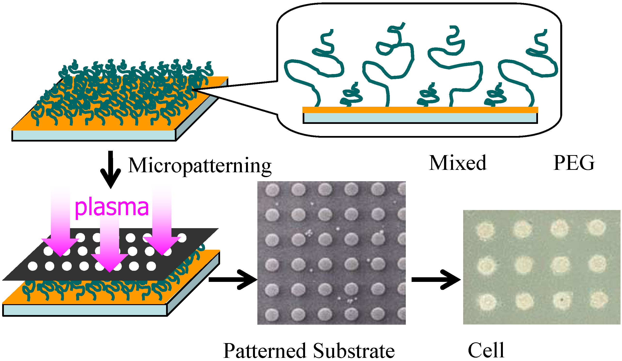 Molecules 15 05525 g002