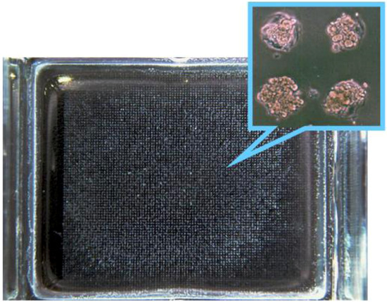 Molecules 15 05525 g005 550