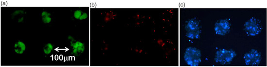 Molecules 15 05525 g007 550