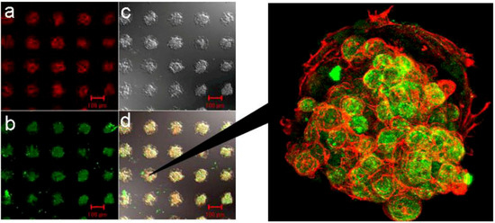Molecules 15 05525 g008 550