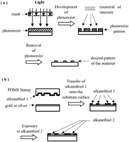 Molecules 15 05525 g010 550