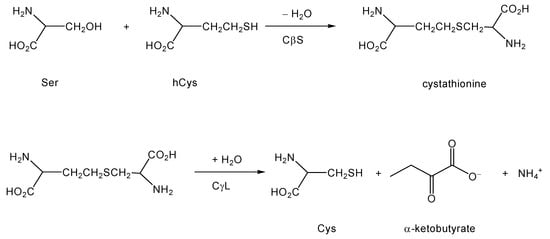 Molecules 15 05581 g005 550